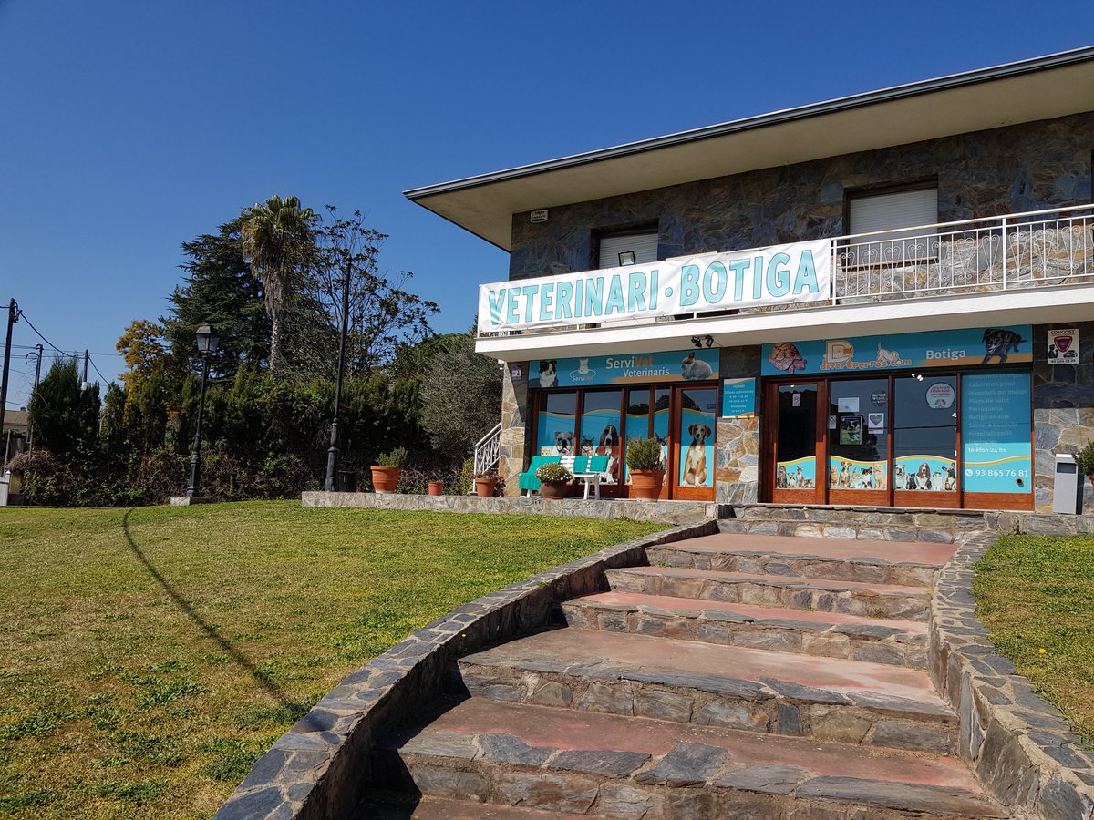 Divertperros (@divertperros) on Twitter photo 