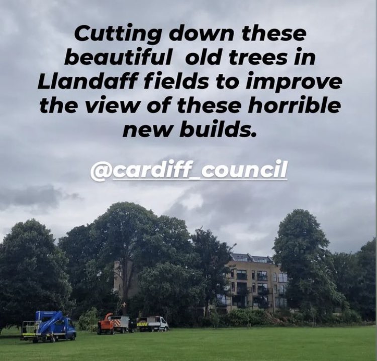 Andy Morgan-Davies (@andylghg) on Twitter photo Can anyone at <a href="/cardiffcouncil/">Cardiff Council</a> justify their constant tweets relating to positive environmental policy whilst also allowing the destruction of hundreds of years of established trees to ensure a poorly conceived development doesnāt have its view of the park obstructed? Can anyone at <a href="/cardiffcouncil/">Cardiff Council</a> justify their constant tweets relating to positive environmental policy whilst also allowing the destruction of hundreds of years of established trees to ensure a poorly conceived development doesnāt have its view of the park obstructed?