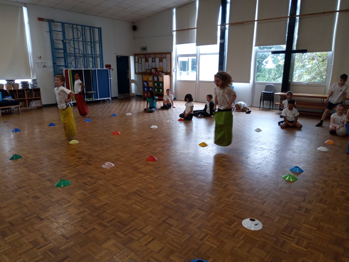 Stubbins Primary tweet media