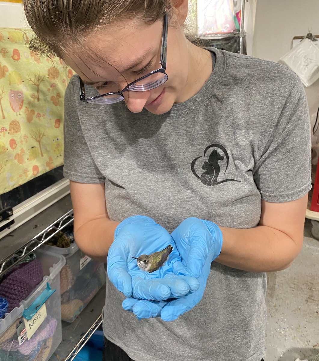 SWVAWildlifeCenter 1-540-798-9836 tweet media