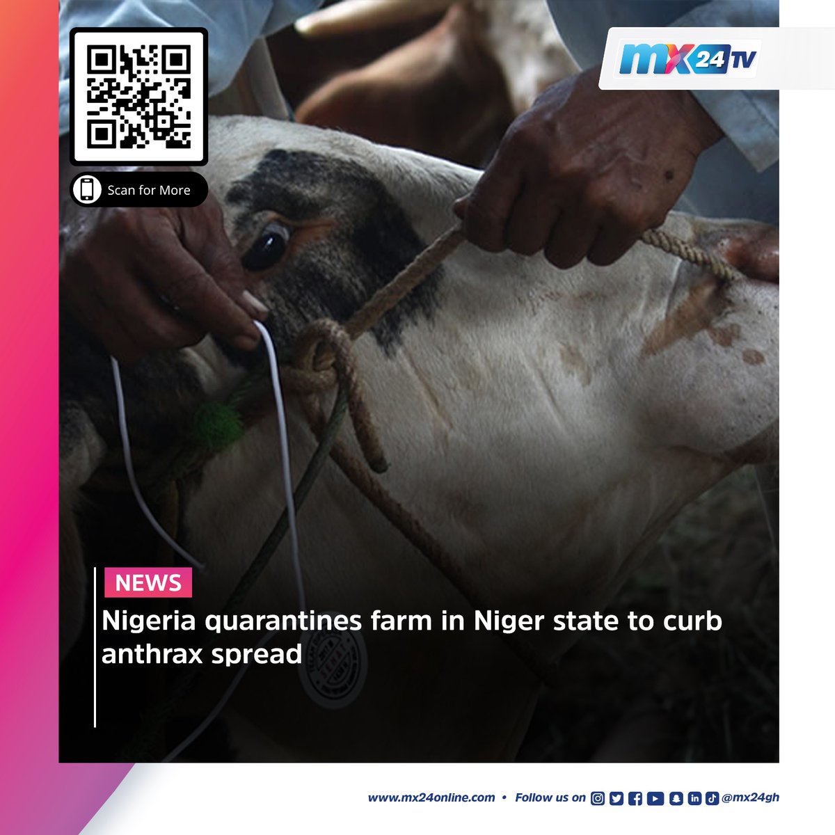 mx24gh's tweet photo. Here are today's biggest headlines. Scan the code to visit our website to read more.
#mx24gh #funfearlessfactual #mx24news #Nkrumah #MemorialPark #BeyondtheReturn #BullionVan #Nigeria #Anthrax #WhiteRhino #Embryo #Giggs #PSG #Kane #Spurs https://t.co/Q9ayD5B83Z