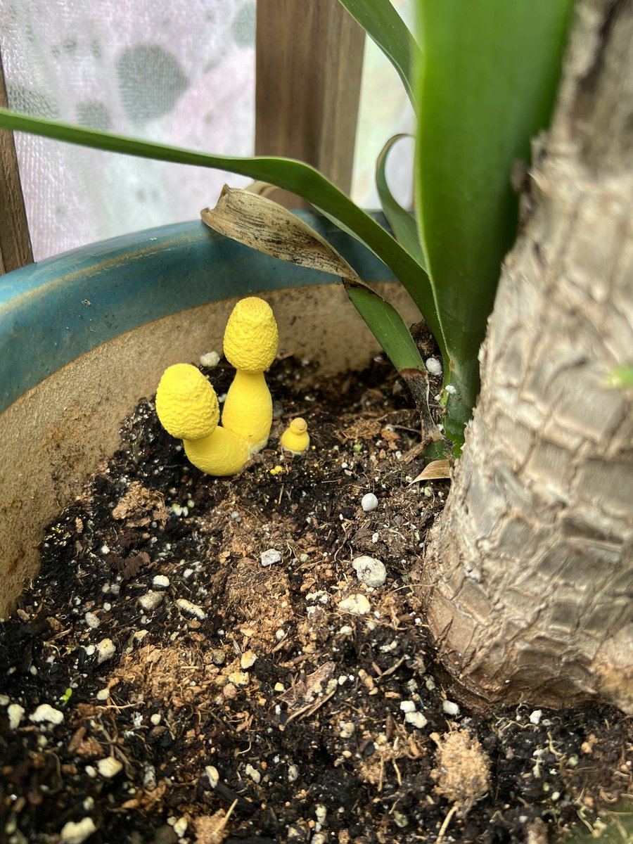 What’s this <a href="/TimLammersFox61/">Tim Lammers</a>