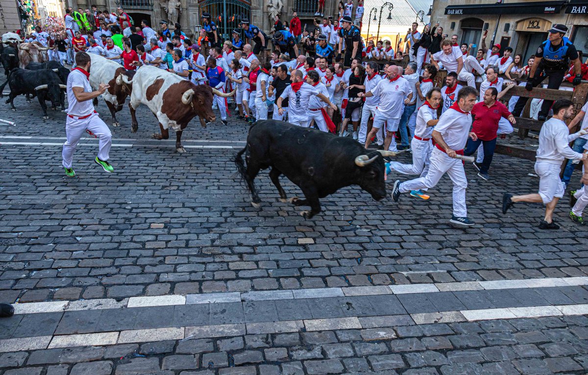 barazea509's tweet photo. Iruña, 13-7-23
Entzierro

@Iruna_udala 
@PRGtoros 

#SanFermin #sanfermines #sanfermin2023 
#SanFermina #sanferminak #sanfermina2023 https://t.co/TkllsCzViv