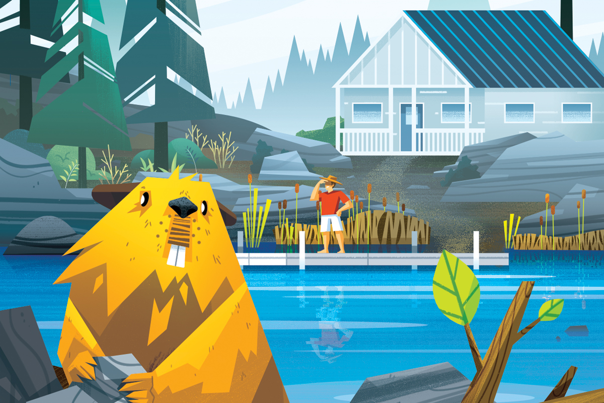 Is there a beaver at your lake? We share one cottager's story and why it just might be a good thing. buff.ly/3PIEbFU 
#CLPodcast