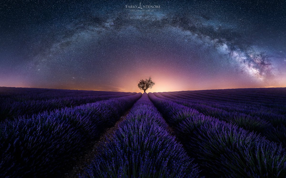 F͎a͎b͎i͎o͎A͎n͎t͎e͎n͎o͎r͎e͎.͎e͎t͎h͎ 🏴☠️ tweet media