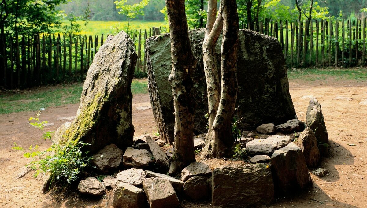 🌞 MA FRANCE, L'ÉTÉ

🌲 La forêt de #Brocéliande s'est construit sa légende, quelque part entre mythe et réalité. On la découvre avec <a href="/Johann_Guerin/">Johann Guerin</a> et @evandebretagne de @bleuarmorique.

➡️ l.francebleu.fr/85Vd