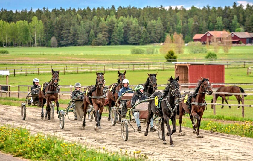 🐴 Vi passar även på att bjuda in till ännu en unghästkväll. Torsdag 10/8 välkomnar vi ALLA som är nyfikna på Team Westholm. Jörgen och teamet bjuder på hemmagjord viltkorv 🌭 samt kaffe 🍵. Retweeta gärna så vi blir många! 🙏 💚 teamwestholm.com/dags-for-ungha…