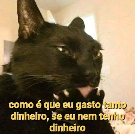 ounojo's tweet image. 