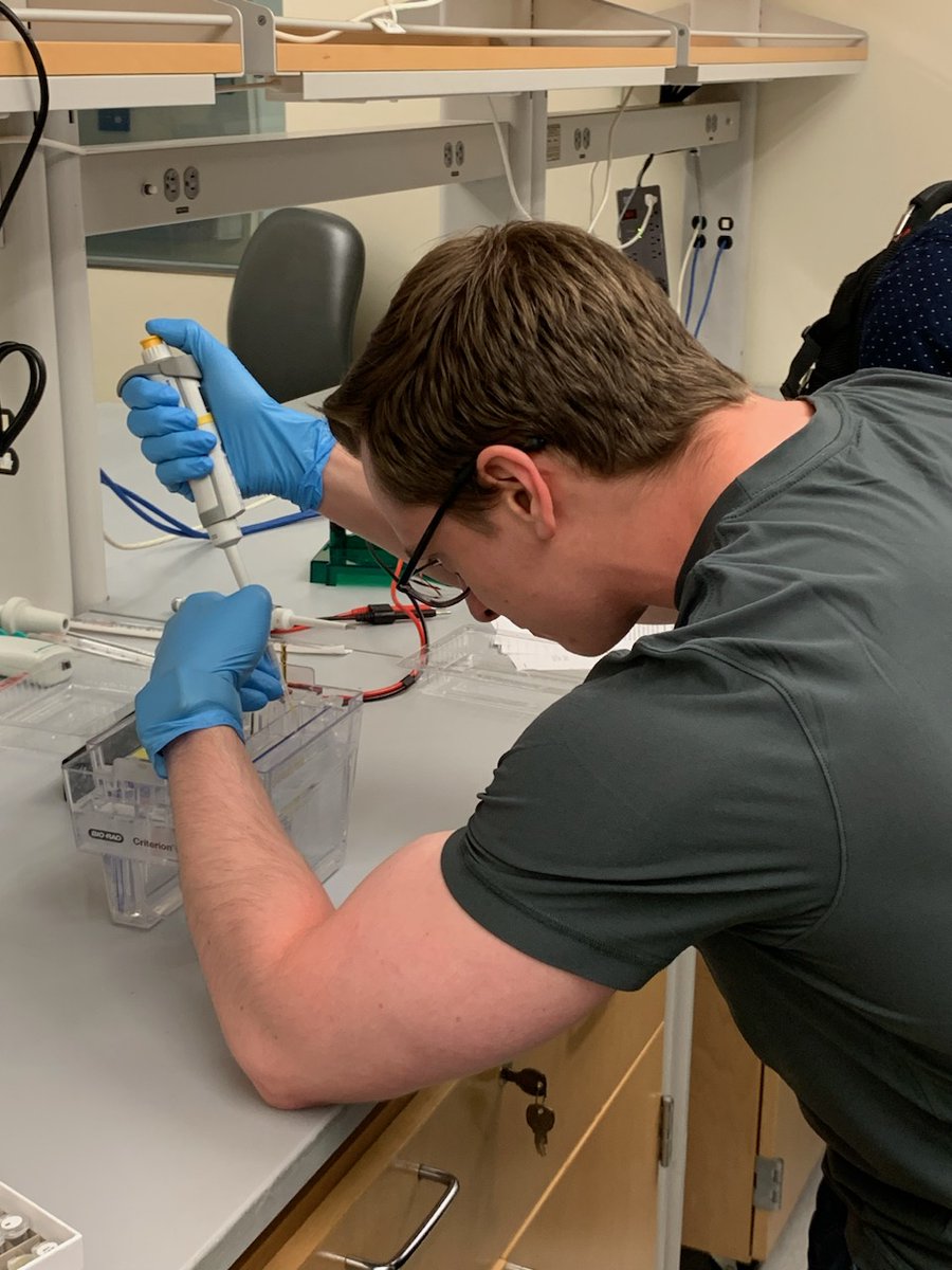 The 2023 Bench Research Course kicked off on Monday, led by @corrine_kliment and Jon Alder!! Can we get biceps like that if we pipette every day?? #ThisIsPACCSM #MedTwitter #PulmTwitter @PACCSM @UPMCPhysicianEd @PittDeptofMed @PittIMChiefs
