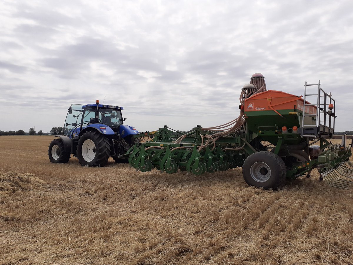 Semis des essais couverts végétaux bioline : 5 mélanges, 2 profondeurs de semis. Plus qu'à attendre la pluie <a href="/rasillard/">Rasillard Jean-Baptiste</a> <a href="/SPionneau/">SPionneau</a> <a href="/Chambagri79/">CA79</a>