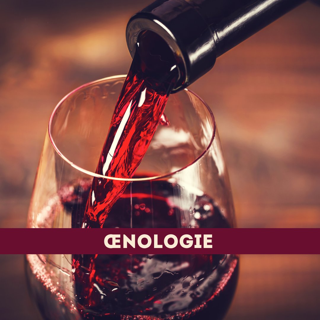 mon-viti (@mon_viti) on Twitter photo < #Œnologie >
Le groupe <a href="/LOenology/">Lallemand Oenology</a> propose une nouvelle #levure permettant de révéler les #thiols présents dans les #vins rouges !🍷
👉vu.fr/FwYFe < #Œnologie >
Le groupe <a href="/LOenology/">Lallemand Oenology</a> propose une nouvelle #levure permettant de révéler les #thiols présents dans les #vins rouges !🍷
👉vu.fr/FwYFe