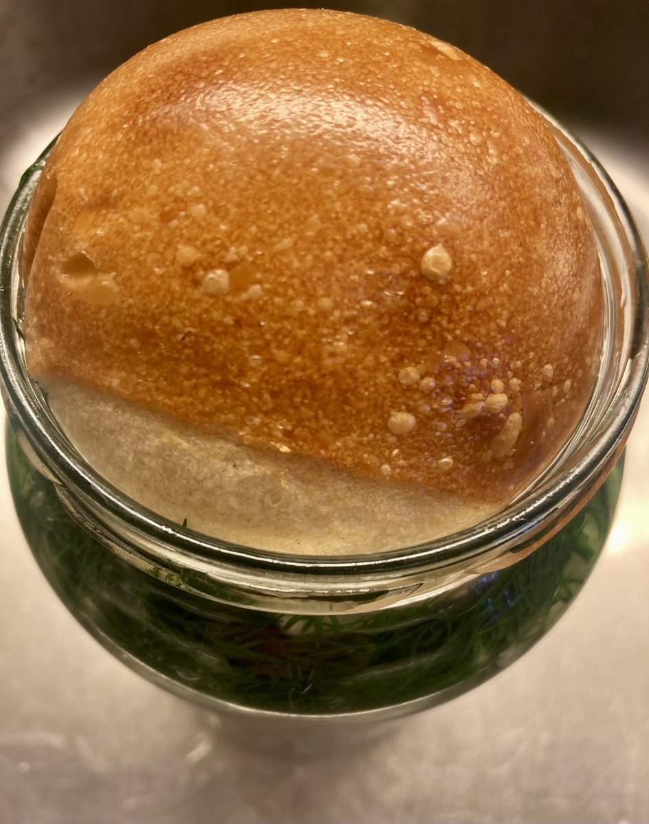 KrisBlackRose's tweet photo. Preparing my #Nostrano #cucumber pickles, #fermentation with #bread, in boiled salty water, #garlic and #dill. Now the #sun on my balcony has to do his job! https://t.co/YH2hGJULk0