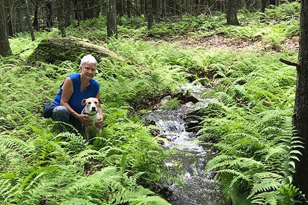Delaware Highlands Conservancy tweet media