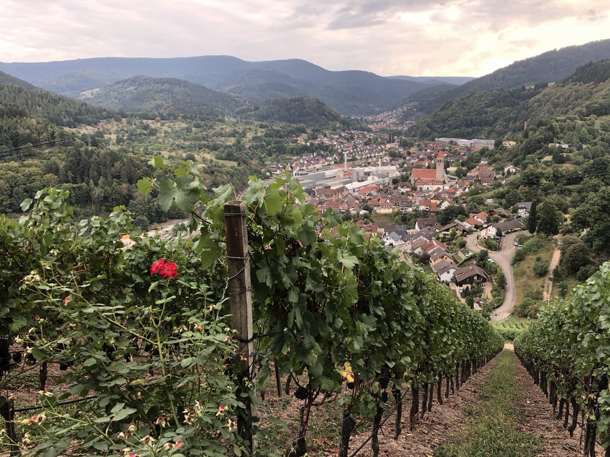 Sloss Eberstein, Duitsland #september2018 #mx5