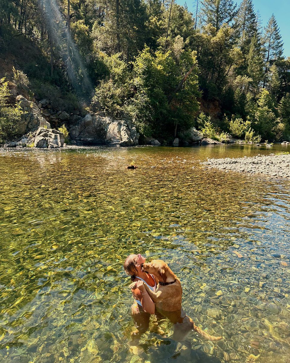 Escape the heat and take a dip with your furry friend this summer! 🌞🐶💦

📸 kaleighhhgomez/IG