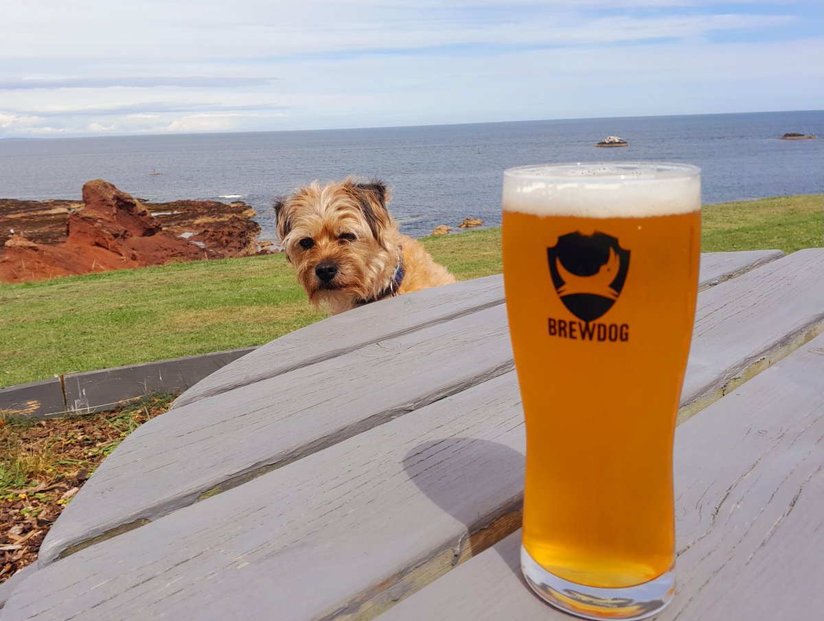 Pals it's 4 years ago today since me big bro Marley went on his journey 🌈. I've raised a glass to him and all of our rainbow bridge pals this afternoon 😊
#BTPosse