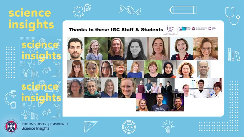 #SI2023 pupils in pairs shadow our staff &amp; students for a 2-hour IGC Wet or Dry Lab / Facility Taster Session, to gain insights into HOW research is undertaken here <a href="/EdinUni_IGC/">Institute of Genetics and Cancer</a> <a href="/mrc_hgu/">MRC_HGU</a> <a href="/EdinCRC/">Edinburgh Cancer Research</a> <a href="/UoE_CGEM/">Centre for Genomic and Experimental Medicine</a>. Thanks to everyone who enabled this. <a href="/EdinUni_IRR/">Institute for Regeneration and Repair</a> <a href="/roslininstitute/">The Roslin Institute</a>