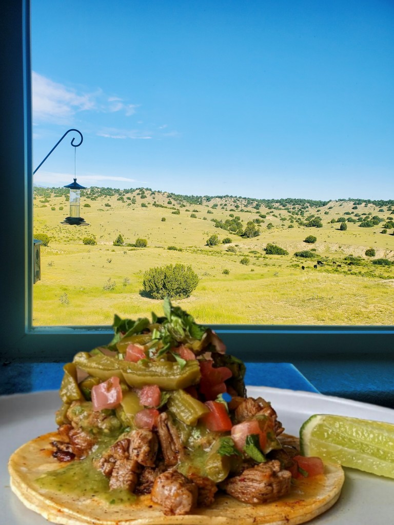 Ogmintypython's tweet photo. grass fed/finished beef taco
con green chile 
background are the cows
who provided the beef
#tacotuesday #coloradobeef https://t.co/7Nj399QQeL