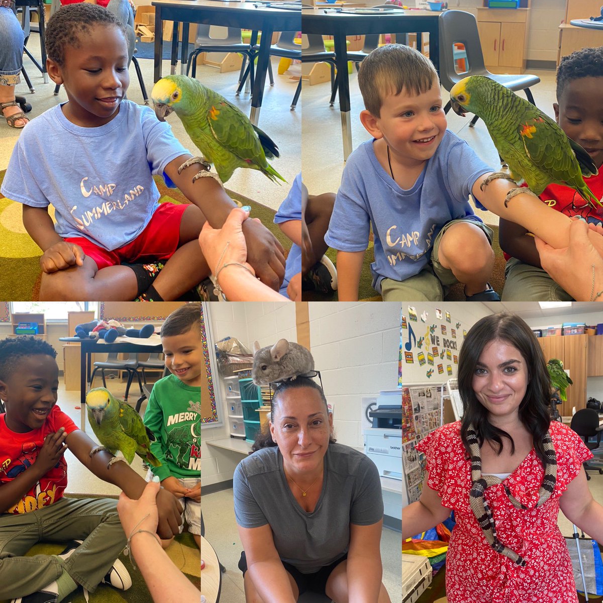 Miss Gabrielli (@missmgabrielli) on Twitter photo Thank you <a href="/HandsOnExotics/">Hands On Exotics</a> for a great classroom experience! We loved having these furry and scaley visitors in today. Such brave kiddos we have in here…even the adults got in on the fun! 🐍🦎🐰🐢#campsummerland <a href="/SummerlandHCDSB/">Camp Summerland</a> Thank you <a href="/HandsOnExotics/">Hands On Exotics</a> for a great classroom experience! We loved having these furry and scaley visitors in today. Such brave kiddos we have in here…even the adults got in on the fun! 🐍🦎🐰🐢#campsummerland <a href="/SummerlandHCDSB/">Camp Summerland</a>