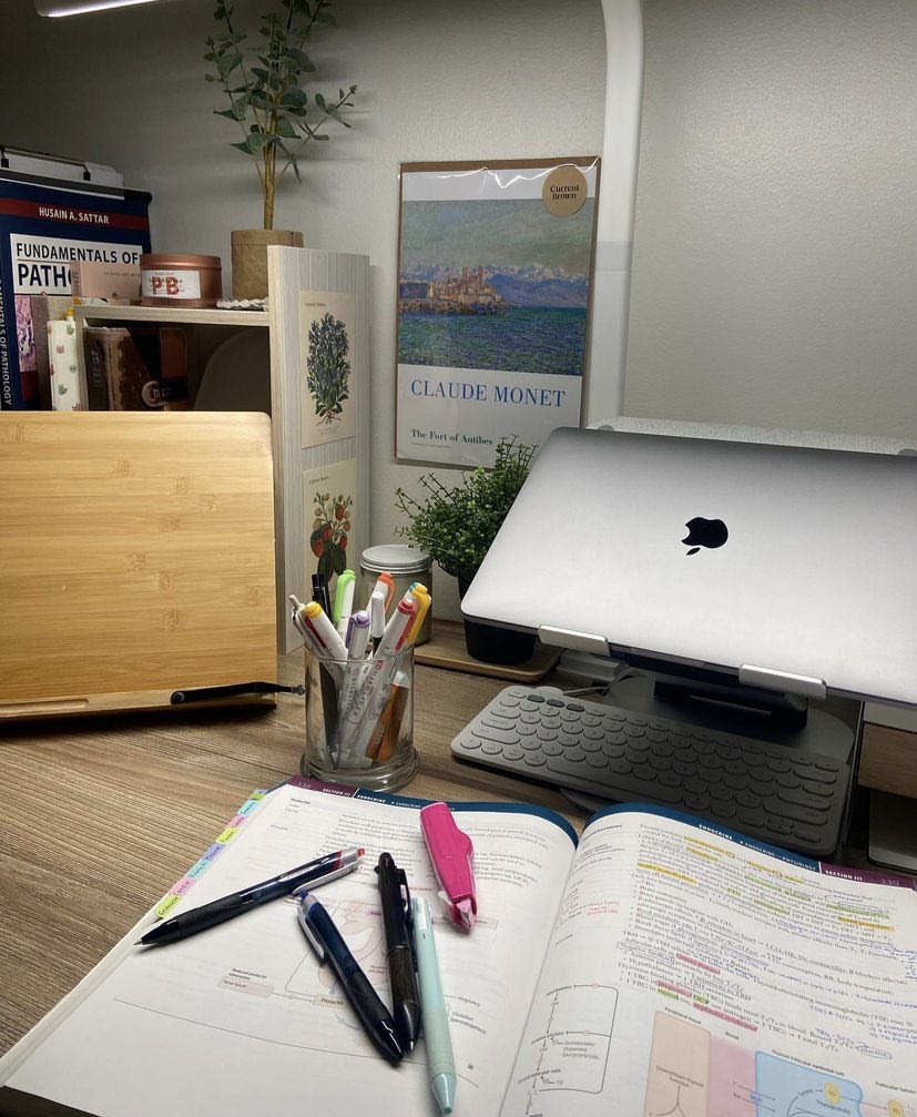 د. علي الماجد tweet media