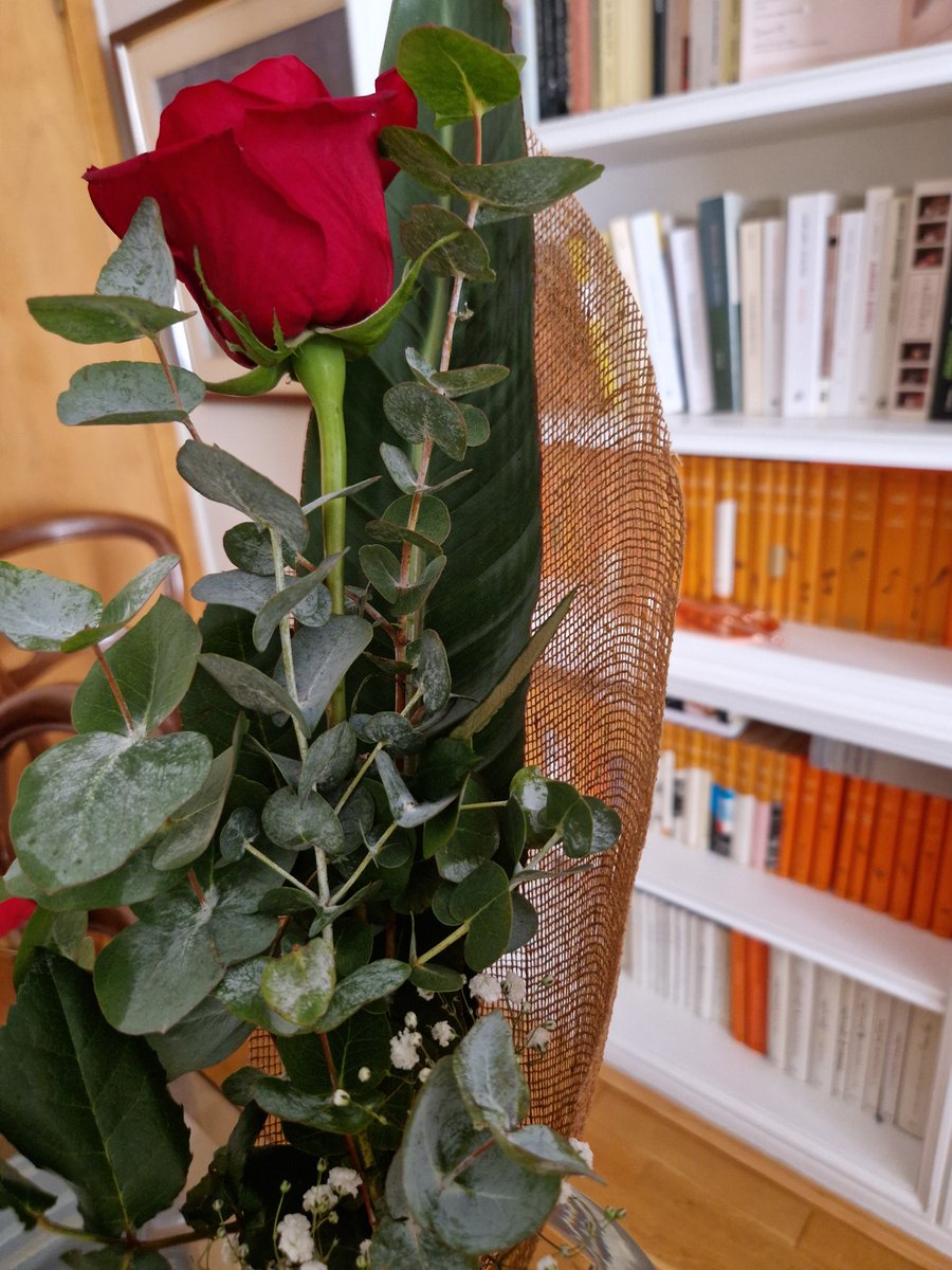Havia promès un llibre a un alumne de 4t, avui li he donat, ell m' ha portat una rosa. Quina alegria m' he dut ! Un gest que em rescata de l' esgotament, que fa renéixer el sentit. Espero que llegeixi a Primo Levi, necessitem jovent amb memòria. <a href="/educaciocat/">Educació</a> @insjaumemimo