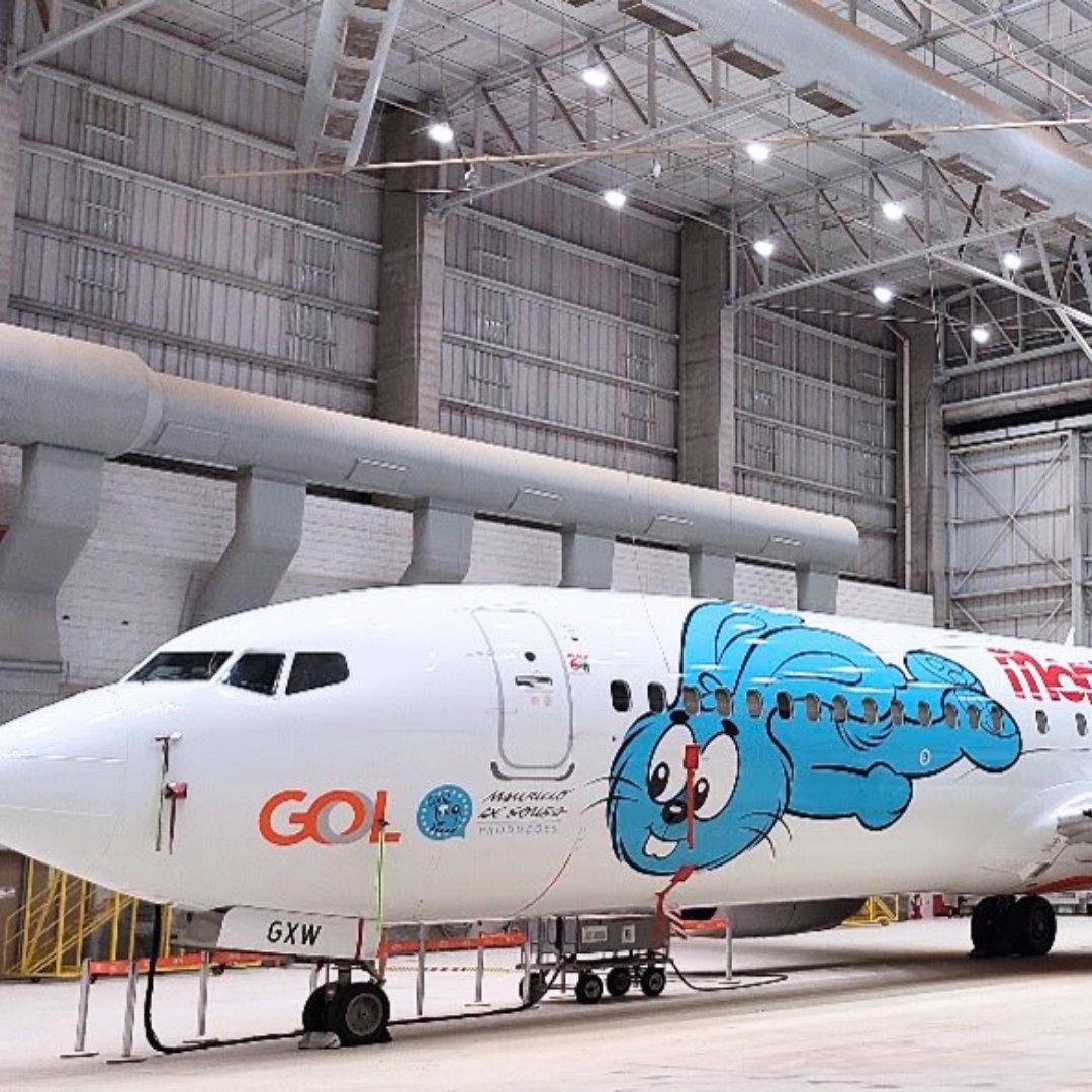 Uma parceria entre a GOL e a Mauricio de Sousa Produções (MSP) decola com a ação “Coelhadas no Ar”. O avião é totalmente decorado com artes inéditas criadas exclusivamente pela MSP em comemoração aos 60 anos da Mônica.
  
E ai, o que acharam dessa novidade?
