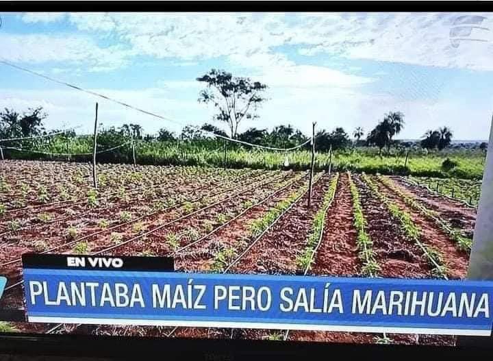 Angeel_Artesano's tweet photo. Bien raro https://t.co/opPC2r7THR