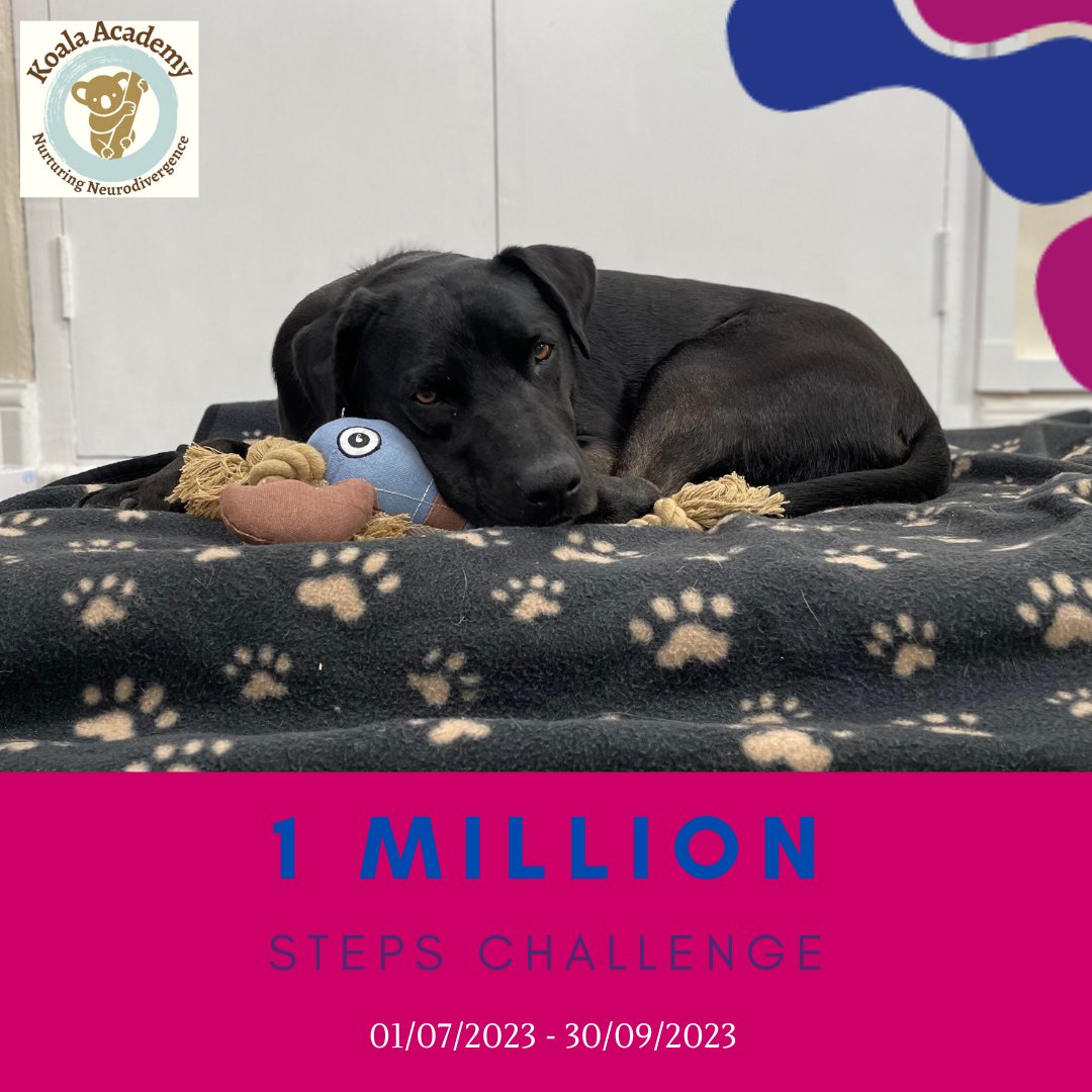 Join us in our mission to walk 1 million steps for a great cause! 

If you'd like to support us on this journey and contribute to this amazing cause, we kindly ask you to click on the link below. 

>>> bit.ly/43vH3ZJ

#team #charity #neurodiversity #neurodiversityatwork