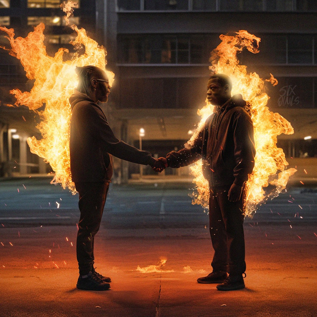 SIX OWLS 🎨 tweet media