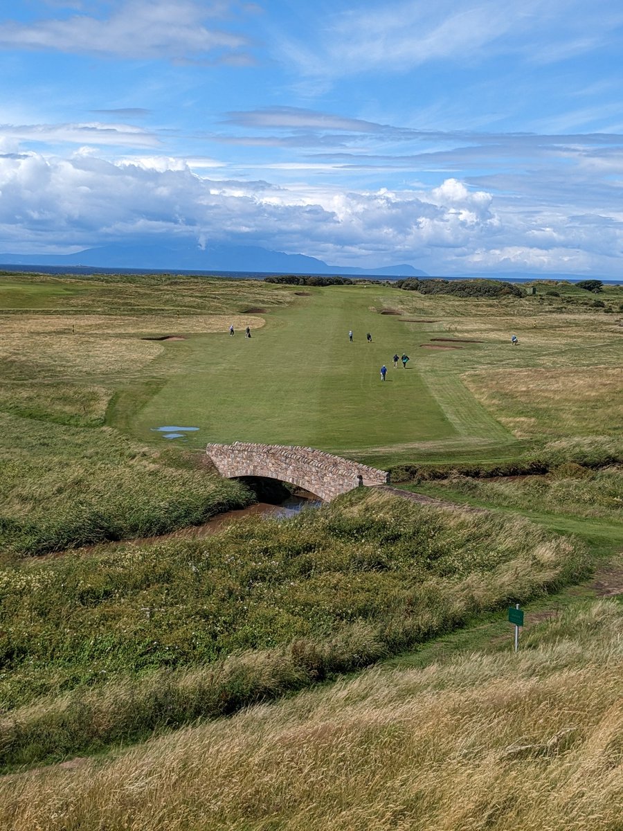 Kendo McAlpine tweet media