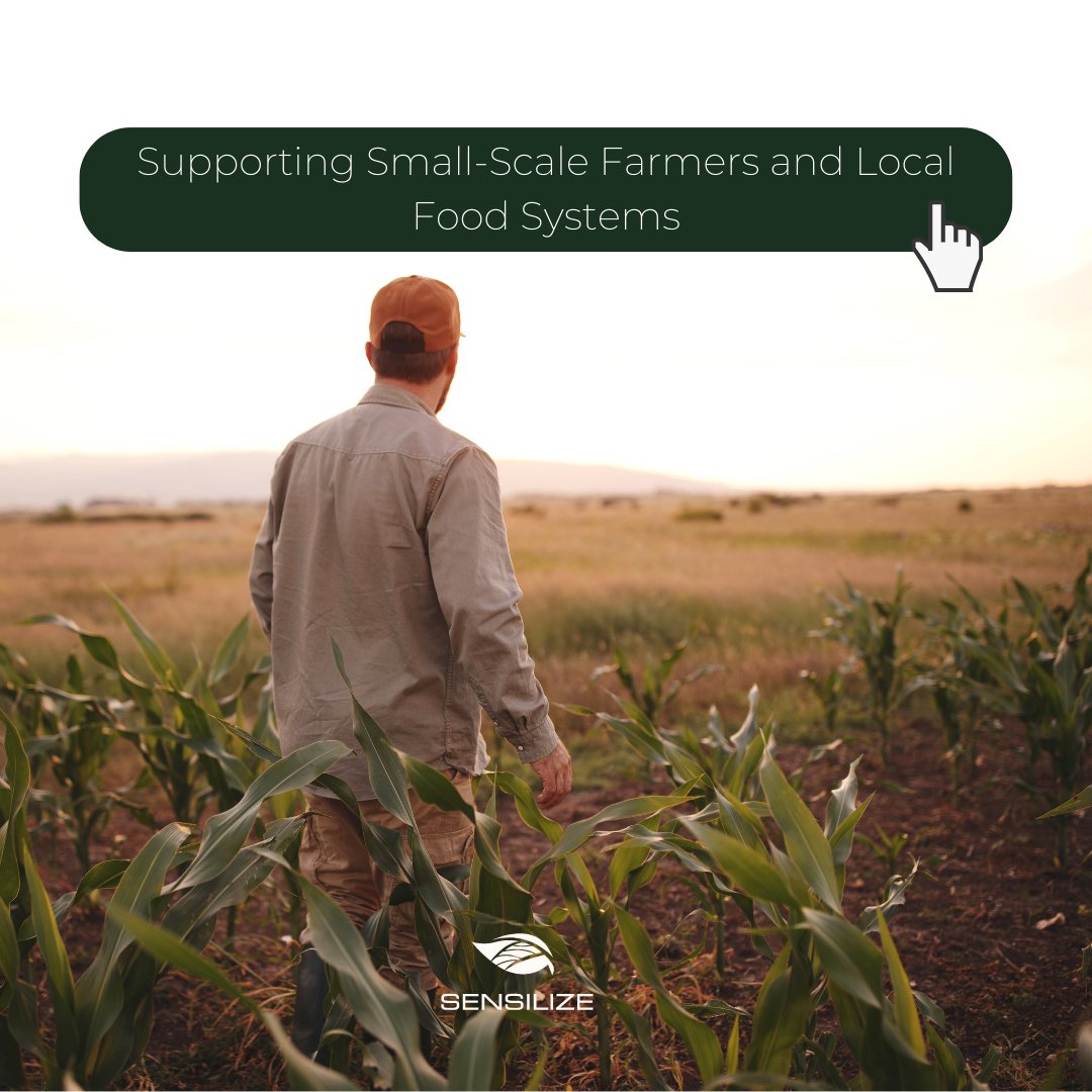 sensilize's tweet image. Supporting small-scale farmers and local food systems is crucial for promoting sustainable agriculture practices and ensuring access to fresh, healthy food for all 🌱

Visit our LinkedIn page to read more: bit.ly/3pRvzSC

#SustainableAgriculture #localfoodsystems