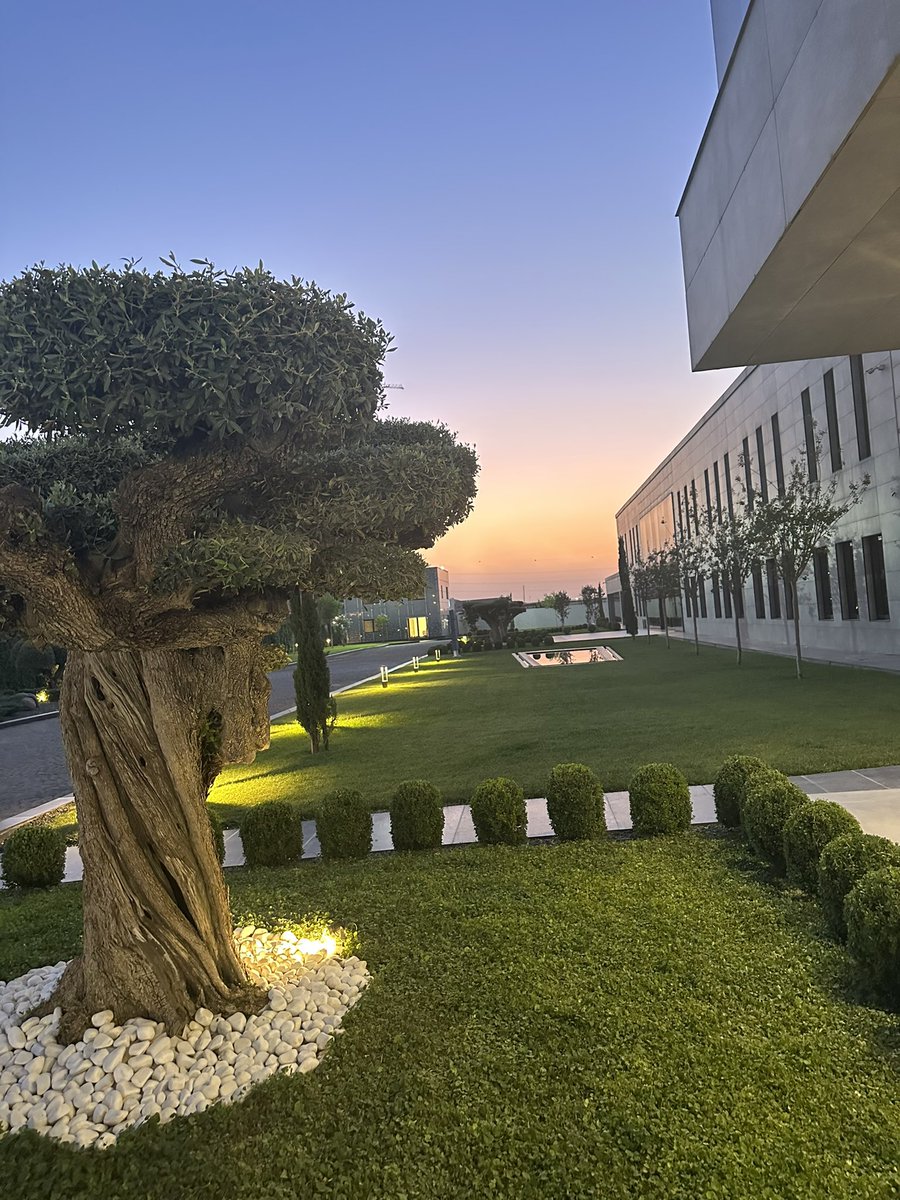 Hiwa Afandi tweet media