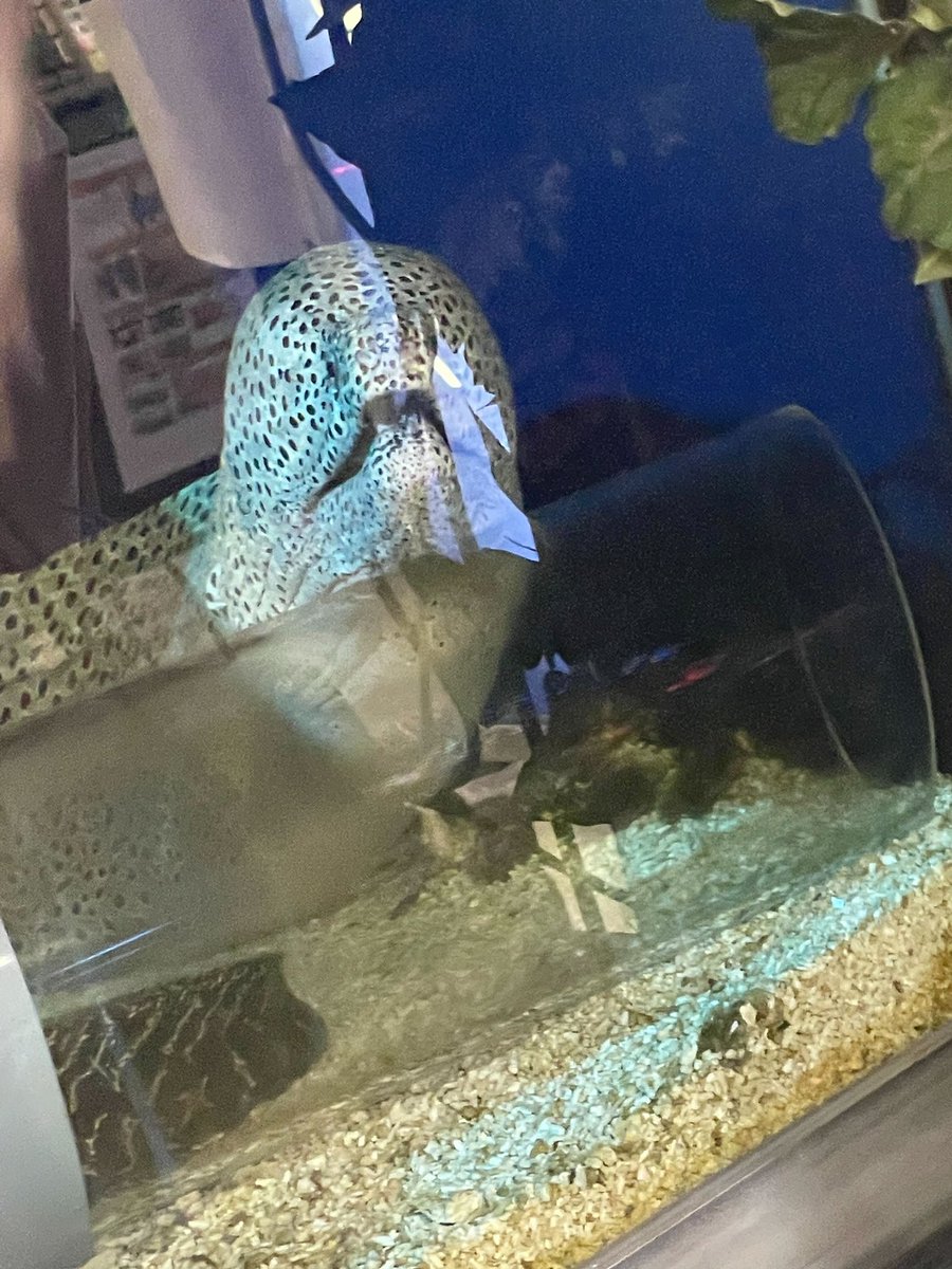 BOYNEXTDOOR_twt's tweet image. 팬미팅 ..💗

#BOYNEXTDOOR #LEEHAN #이한