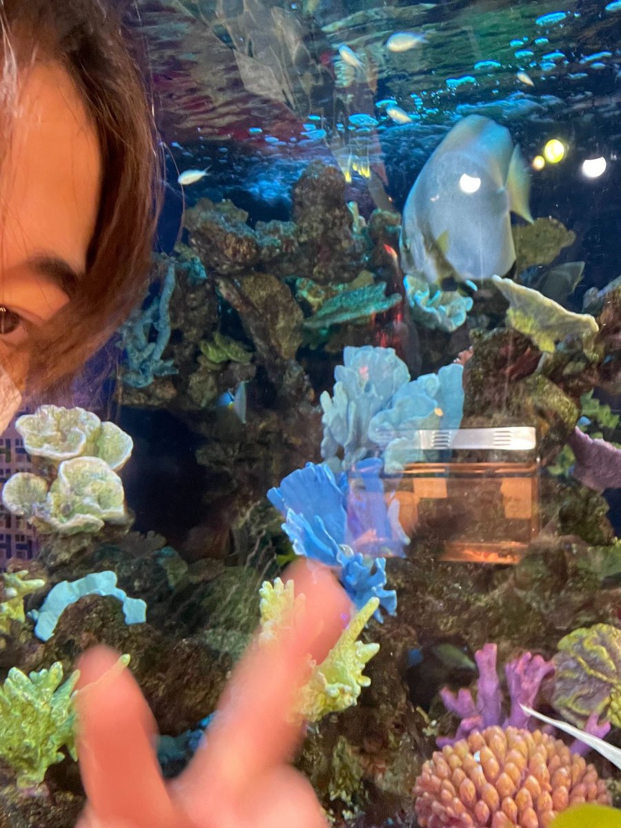 BOYNEXTDOOR_twt's tweet image. 팬미팅 ..💗

#BOYNEXTDOOR #LEEHAN #이한