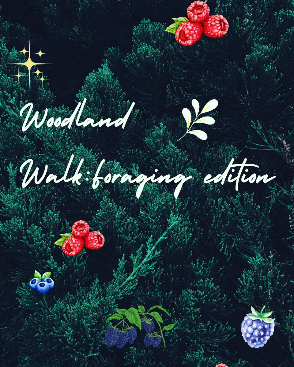 Woodland Walk: Foraging addition ; youtu.be/SWKMjWFaHp0 #foraging #foraginguk #scotland_greatshots #scotland #scotland_insta #homesteadinglife #wildlife