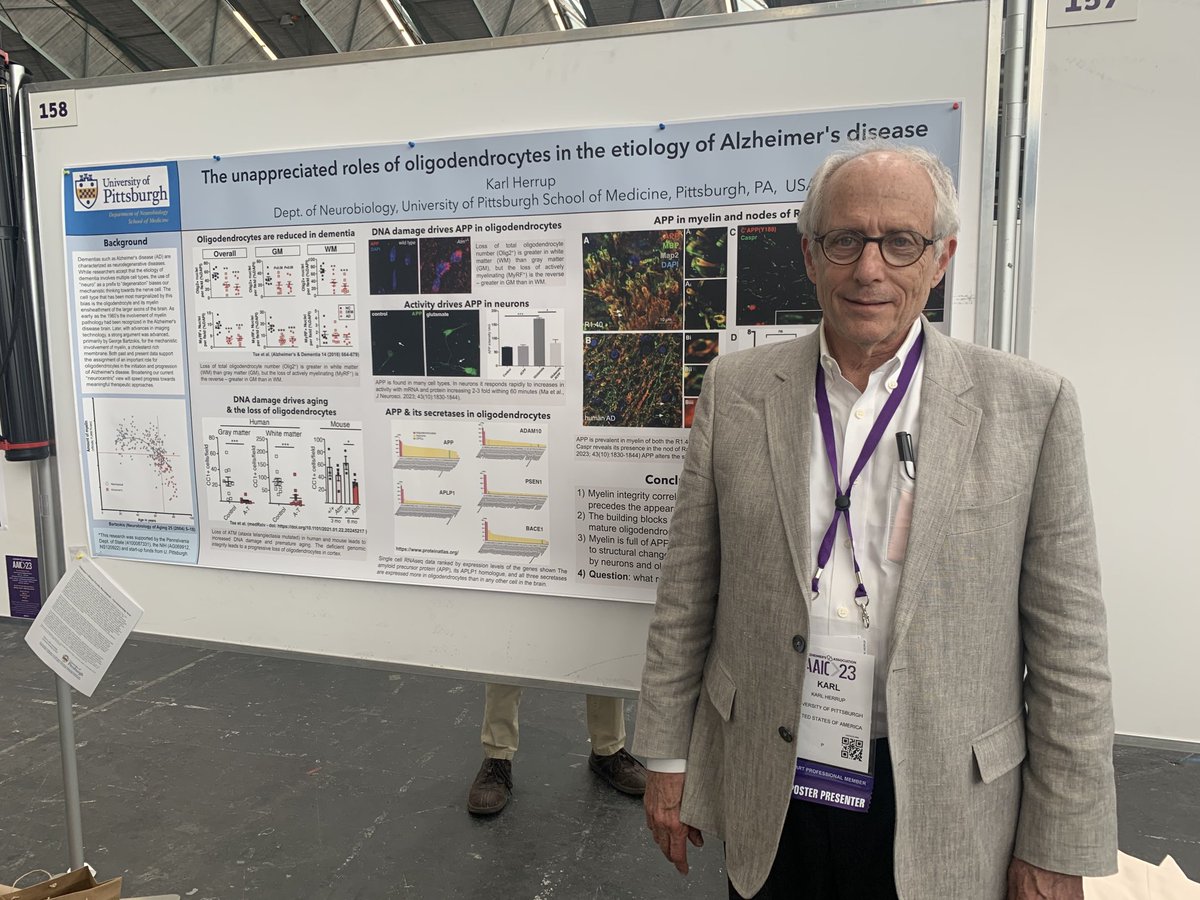 Only a few hours left to see one of the best posters at #AAIC. Oligodendrocytes rule!!4