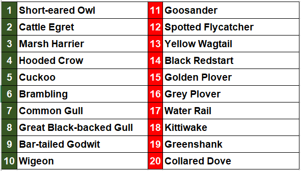 The British Nature Guide tweet media