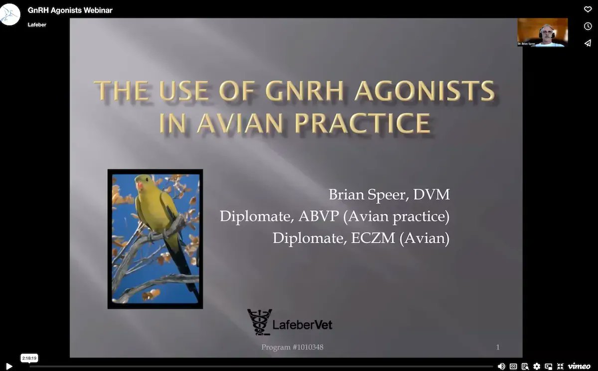 The Spring LafaberVet Webinar Recordings are Now Available. Watch these non-interactive recordings by #avian #veterinarians Brian Speer and Lauren Thielen, then take the post-tests to earn continuing education credit buff.ly/3Did5xL #ContinuingEducation #birds