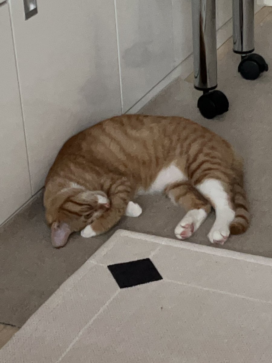 달콤아... 니 머선 고민 있나...