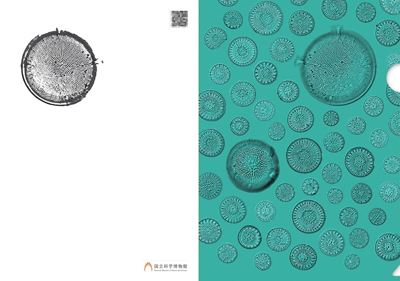 かはく【国立科学博物館公式】 on X: 