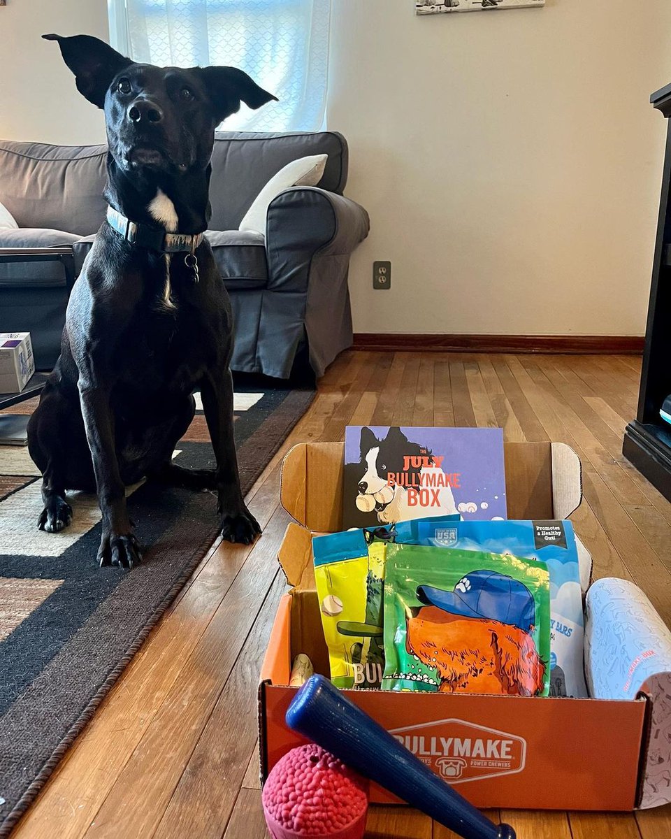Thank you for sharing with us, <a href="/my/">John</a>.name.is.lu !

Want to be featured too? Be sure to tag <a href="/bullymake/">BULLYMAKE</a> in your Bullymake Box post 🥰 

#dogs #doglovers #weeklyfeature