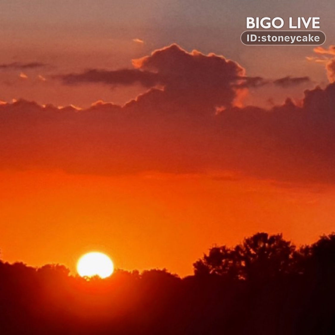 Come to chat in SToNeY_CaKe⏯🍇's LIVE room and earn bonus! New users or returning users fill in my invitation code 2038268921 and find more surprises!
slink.bigovideo.tv/AwGWUM