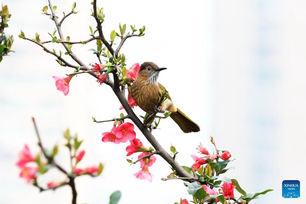 Indrananda Abeysekera (@aslcscc) on Twitter photo 