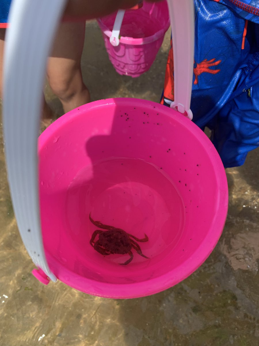 <a href="/yellow_columbia/">Yellow Room</a> <a href="/green_columbia/">Green Room</a> A lovely day at chalkwell beach. All of us having a great time.