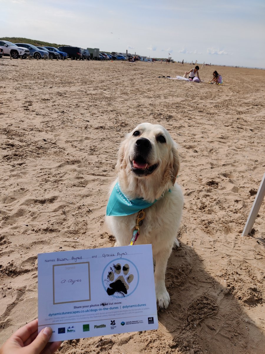 Green Sefton on Twitter "As part of our Give Birds a Break campaign we are partnering up with