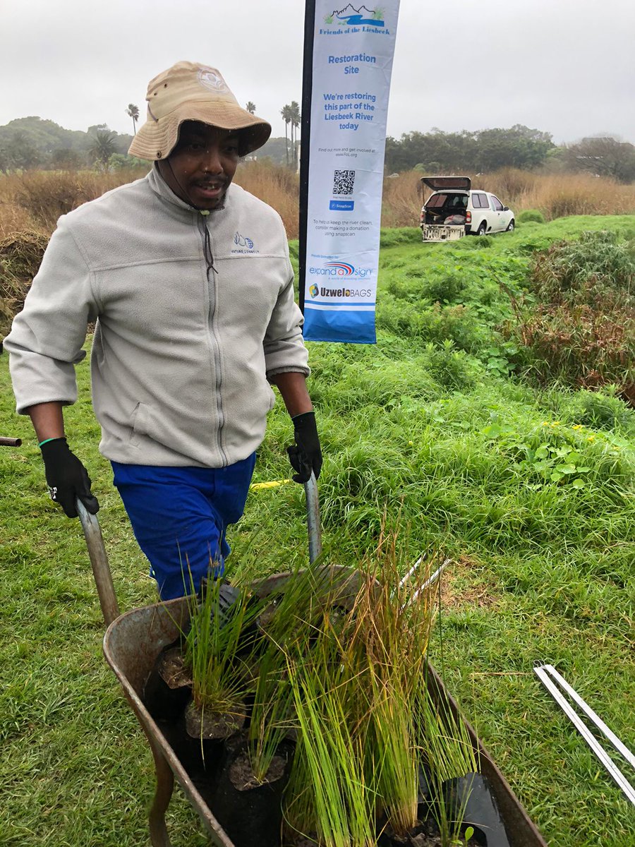 NatureConnectSA's tweet photo. On #MandelaDay, we celebrate Mandela's legacy. Our #NatureCareFund team joined Friends of Liesbeek for 67 mins of habitat restoration. Stay tuned for more photos of our staff & partners making a positive impact. Let's build a greener, harmonious world. #ConnectingForChange https://t.co/4vLyEdeM6O