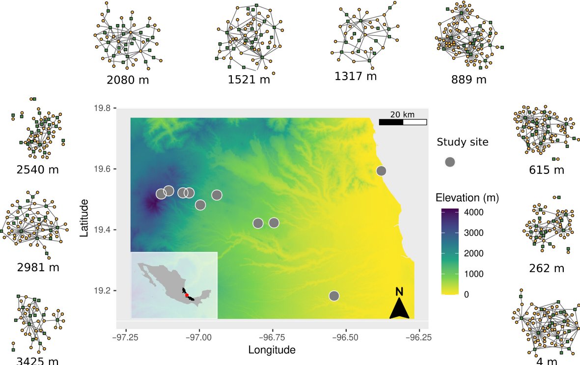 JBiogeography's tweet photo. Why and how elevation shapes the composition of flower–visitor interactions (beta diversity): environmental filters (temperature) help establish novel interactions by filtering species and impacting the behavior and traits of floral visitors and plants 🏔

https://t.co/VC2octg9wf https://t.co/IHwFTUsywL