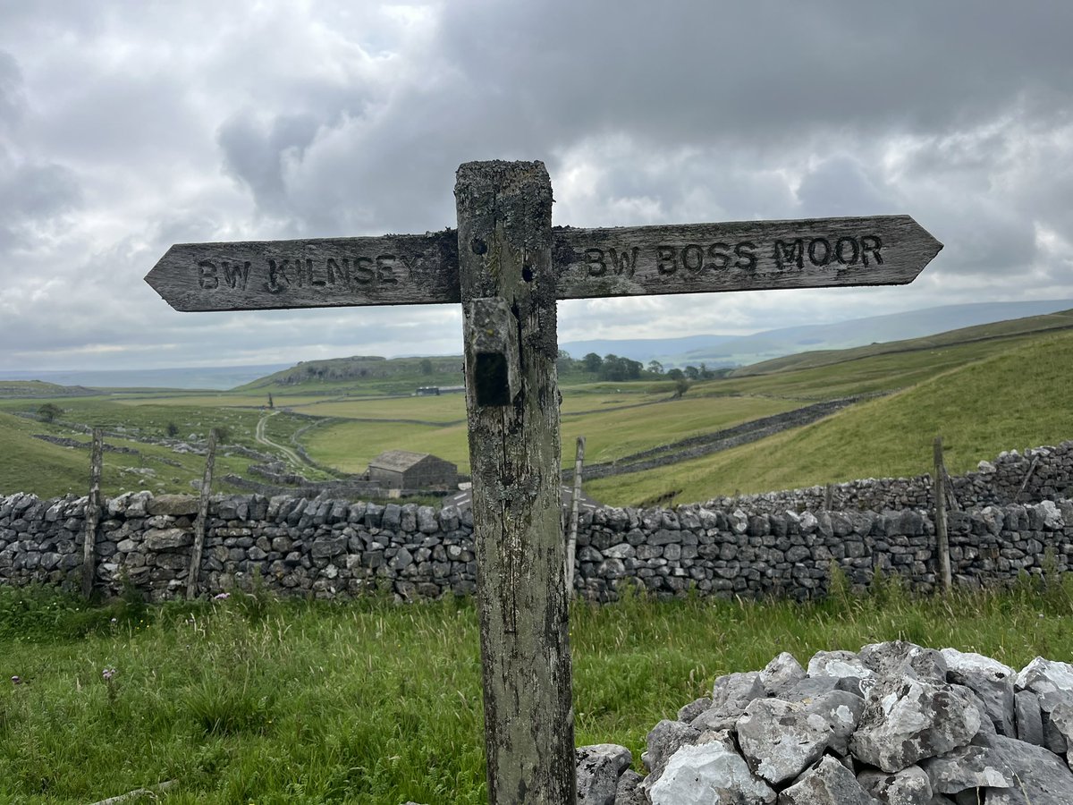 JakeMcDiarmid's tweet photo. Absolutely love exploring new places with wee Rhu #Threshfield #yorkshire #moors #trails #running #dogsoftwitter #holiday https://t.co/qon67Vz9y4