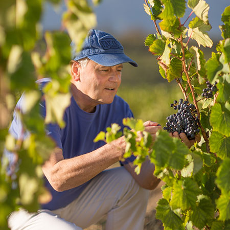 We're really excited to announce that the Waterkloof winemaker himself, Paul Boutinot will be attending our Free Wine Tasting event. Don't miss the opportunity to hear stories and tasting notes from this amazing producer on 26th July 4-8pm at our Ampress Park store