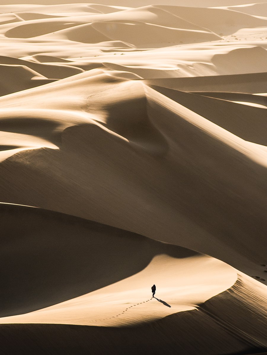 LogiaBooks's tweet photo. "...when we let go, the true wonders may just begin."
 
Photo by Finding Dan | Dan Grinwis on Unsplash

https://t.co/I3g4psuRKa

#Aweikinin #nigerianwriterscommunity #nigerianblogger #nigerianwritersforum #nigerianblog #nigerianwriter #naijawriters #writersofnigeria https://t.co/e0T4pTCXJC